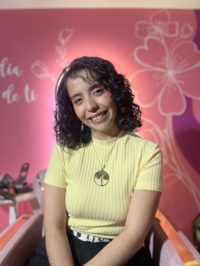 Asesoría online